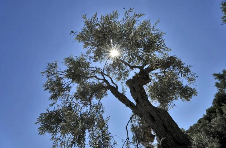 Εαρινή ισημερία με καύσωνα και χιόνια